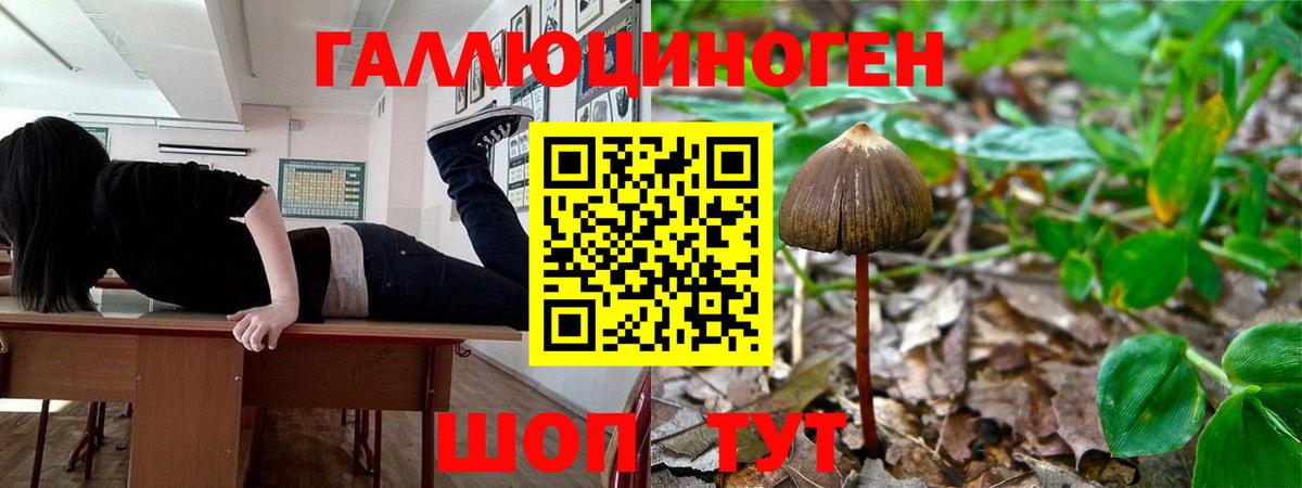 Псилоцибиновые грибы GOLDEN TEACHER  Вход с VPN  Юрга 